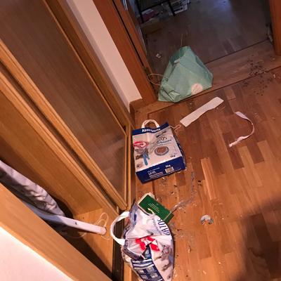 Síndrome de Diógenes.