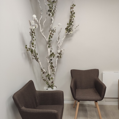 reforma interior en local Bilbao