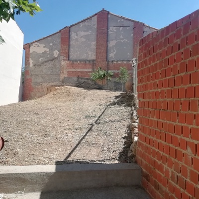 Desbroce de parcela,tala de árboles y limpieza