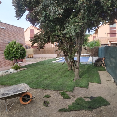 Creación de jardín en tepe