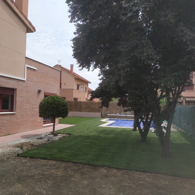 Creación de jardín césped natural