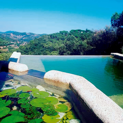 Piscina Natural, Biopiscina