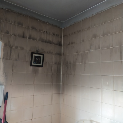 Antes de limpieza por INCENDIO