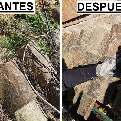 limpieza de tejados y canalones a profundidad