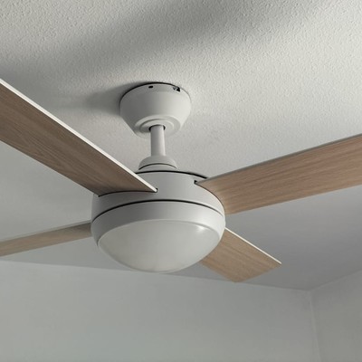 Ventiladores de techo