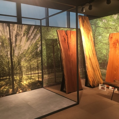 vinilos impresos pared-suelo-cristales