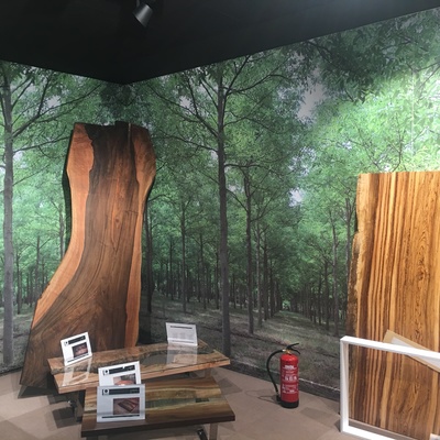 vinilos impresos pared