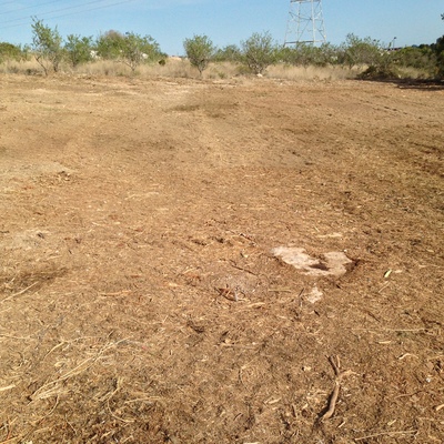 Triturado de restos de podas