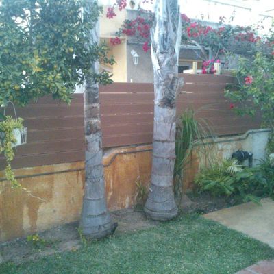 Tarima exterior vallado