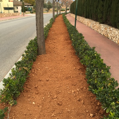 Plantaciones y riego