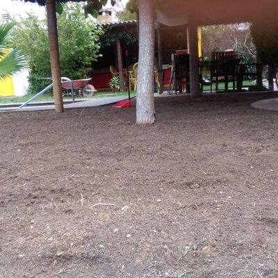 REGULARIZACION TERRENO (COLOCACION CESPED)