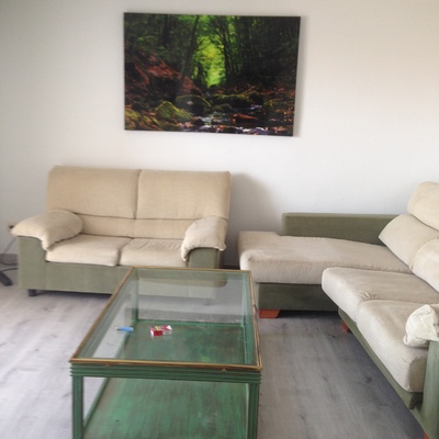 Limpieza tapicera sofás