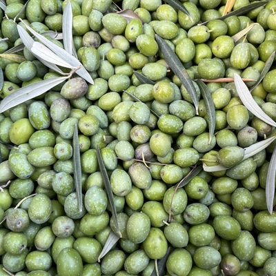 Poda de fincas y produccion