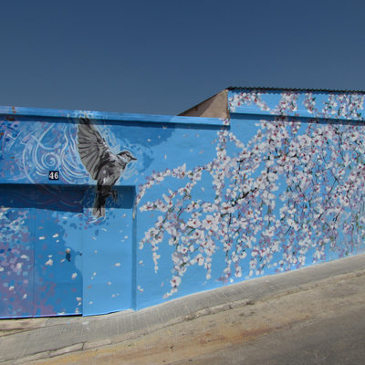 Decoración fachada vivienda