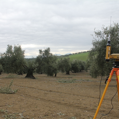 División de una finca en lotes para una herencia