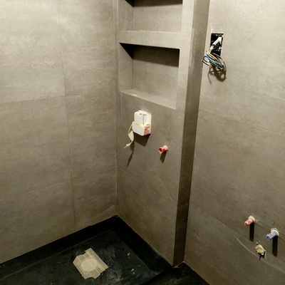 Reforma bano ,baldosas ratificadas con nicho