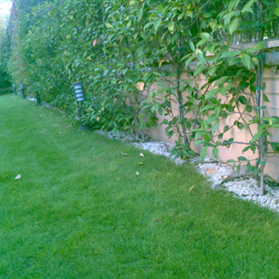 Instalación de césped natural