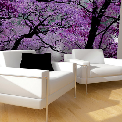 Instalación de Fotomural