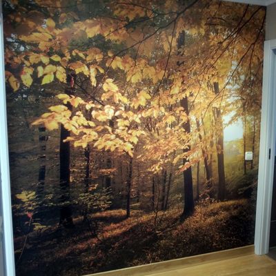 Instalación de Fotomural