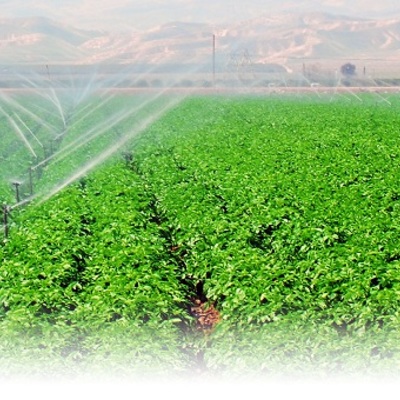 Instalación de sistemas de riego y obras en fincas agrícolas