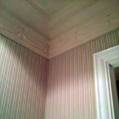 Instalación Papel Vinilico y Pintado de Molduras