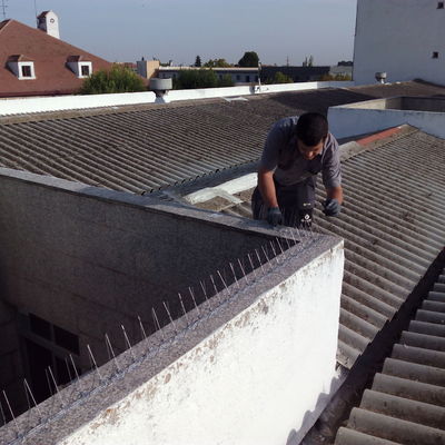 Expulsión de palomas