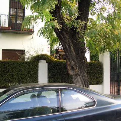 Ite en el Colegio oficial de peritos agronómos