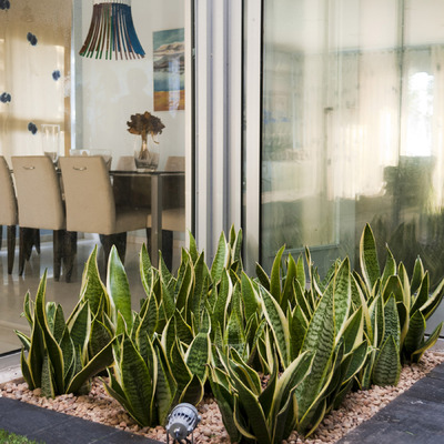 Jardín minimalista en patio interior