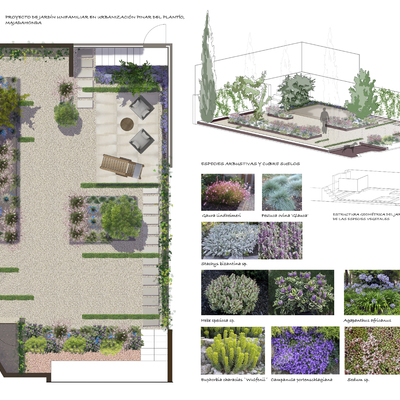 PROYECTO JARDÍN MAJADAHONDA