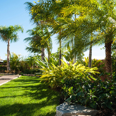 Jardín tropical en Alicante