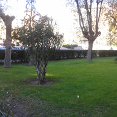 MUESTRA DE ALGUNOS DE NUESTROS TRABAJOS