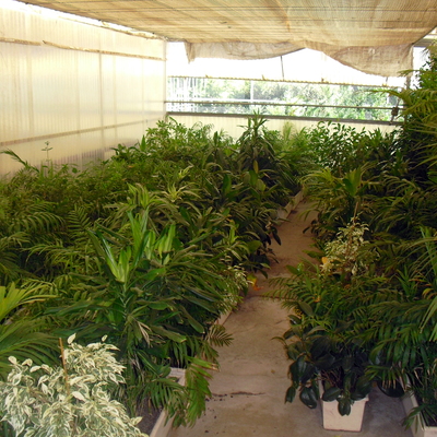 Jardineras para alquiler