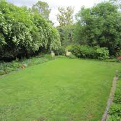 Jardineria construcio i Manteniment