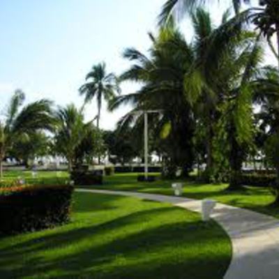 Jardineria construcio i Manteniment