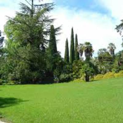 Jardineria construcio i Manteniment