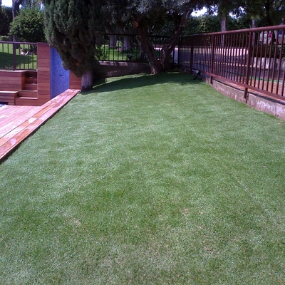 Jardinería Oubiña y Pecci diseño y floristería en Toledo