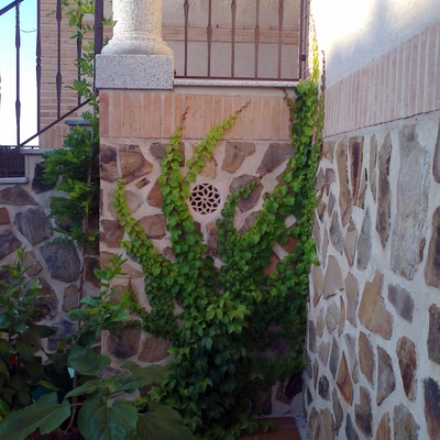 Jardinería Oubiña y Pecci diseño y floristería en Toledo