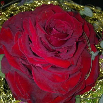 Jardinería Oubiña y Pecci diseño y floristería en Toledo