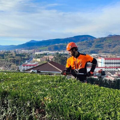 Corte y perfilado de setos