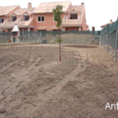 jardineros profecionales 