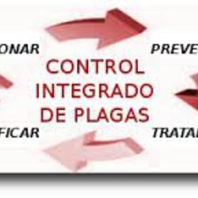 La lucha integrada en el manejo de plagas 