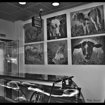 Licencia de apertura de carnicería 