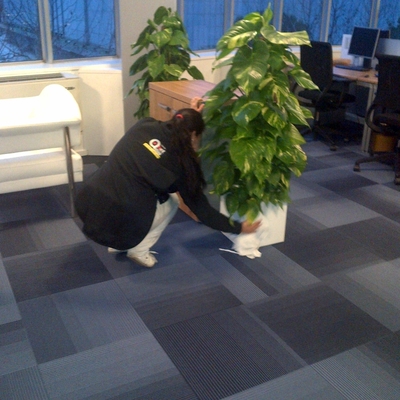 Limpieza de oficinas