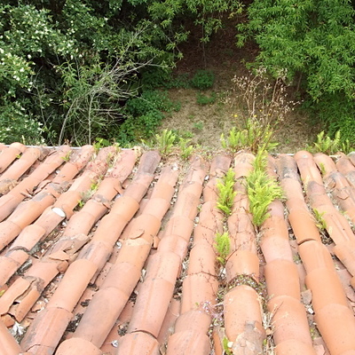 LIMPIEZA DE TEJADOS Y CANALONES