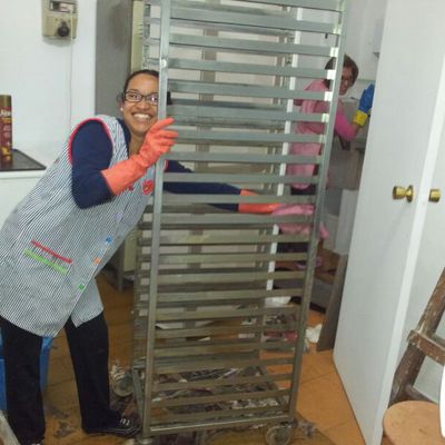 limpieza general en horno