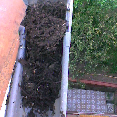 Limpieza y mantenimiento de canales y bajantes