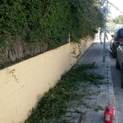 LIMPIEZA Y MANTENIMIENTO DE JARDINES