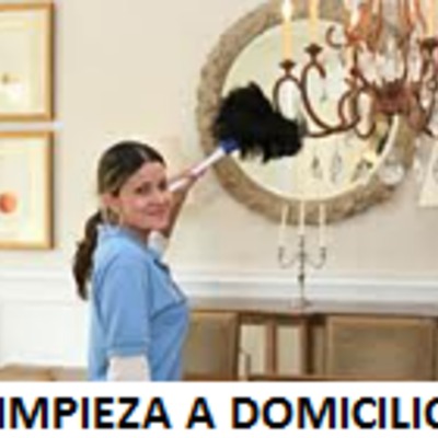 Limpiezas para Domicilios