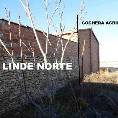 Agrupación de parcelas