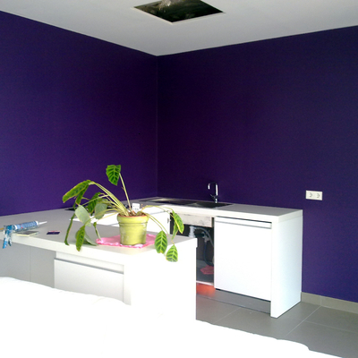 liso cocina c/violeta acrilico